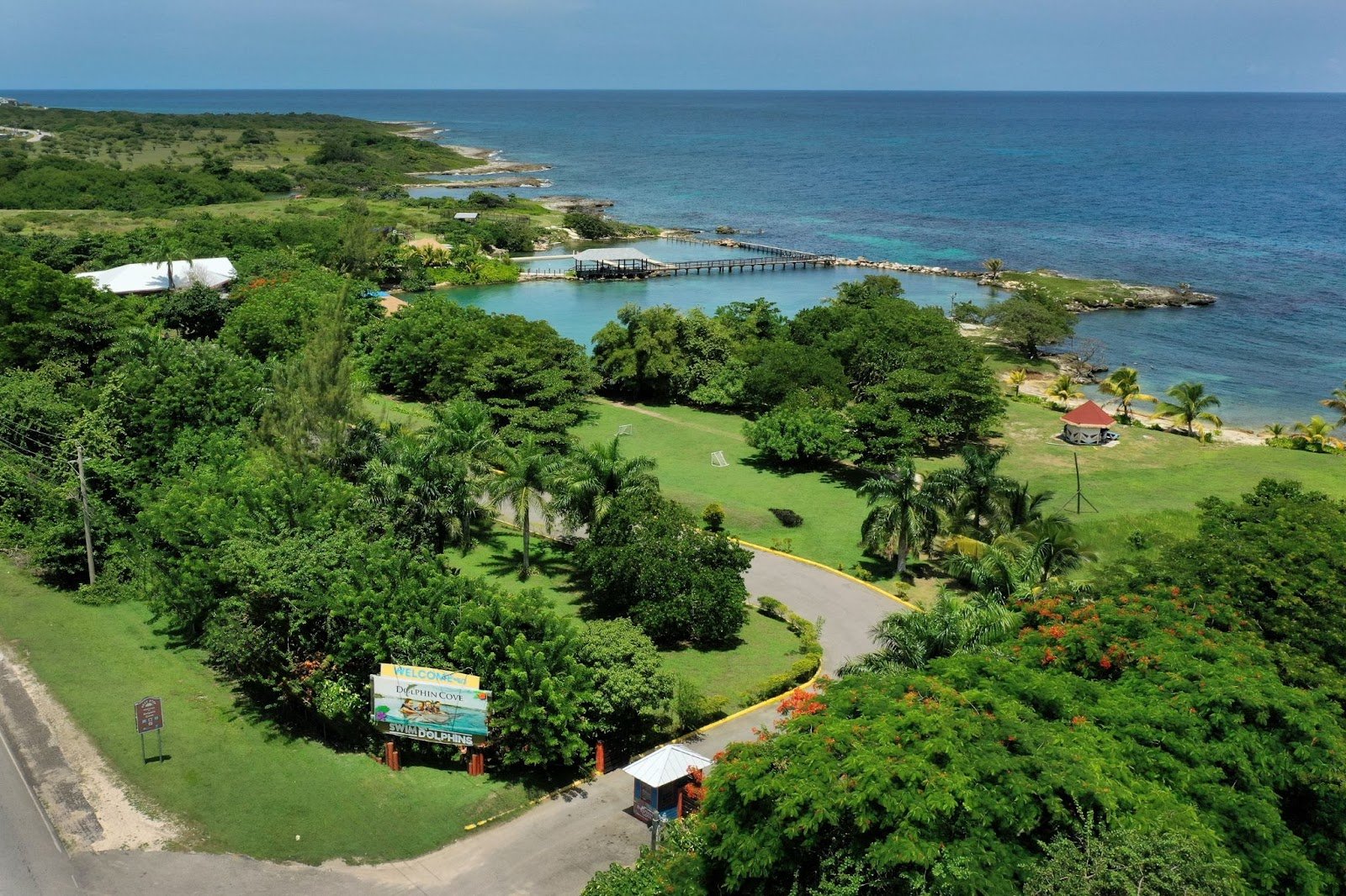 Explore Dolphin Cove Ocho Ríos in Jamaica –